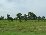 18750P1000588.JPG