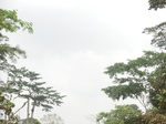 48348CIMG4685.JPG