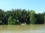 54681Bulungan (176).JPG