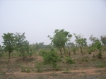 3884RIMG0188.JPG