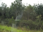 33640IMG_5829.JPG