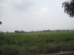 15352IMG_4193.JPG