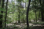 244IMG_4140.JPG