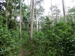 45930CIMG0219.JPG