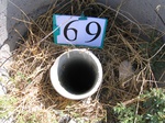 10306069-Irrigated cotton-d.jpg