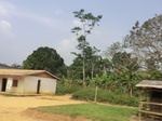 49726CIMG6063.JPG