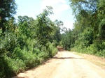 32506p164.jpg