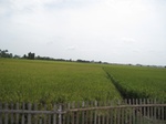 14331IMG_4672.JPG