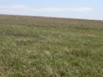 30119CIMG0264.JPG