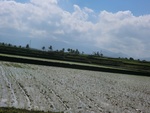 30249CIMG1783.JPG