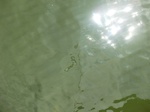 58367CIMG2816.JPG