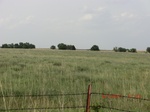 29472CIMG0770.JPG