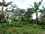 31141CIMG1003.JPG
