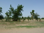 19153P1000998.JPG