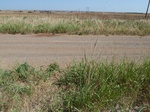 39280PUTN20110726N.JPG