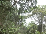 48706CIMG5043.JPG