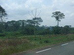 49422CIMG5759.JPG