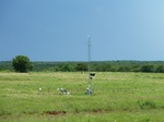 21562P1010386.JPG