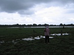 1041109-lakebed-grassesb.gif