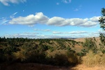 28518P1010530-1.JPG