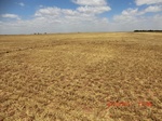 29952CIMG0470.JPG