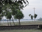 21752DSC00298.JPG