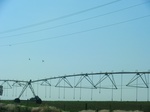 55452CIMG2042.JPG