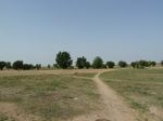19149P1000994.JPG