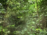 47928CIMG4265.JPG