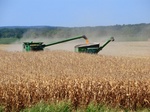 2012-08-30_11-29-28_CIMG4284.JPG
