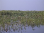 655R0015163.jpg