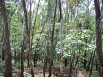 1714919042008(65).JPG