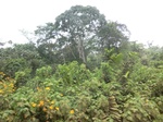 49106CIMG5443.JPG