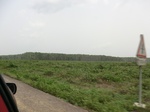 50538CIMG1167.JPG