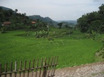 15186IMG_4006.JPG