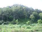 33597RIMG0262.JPG