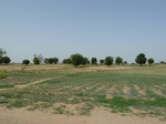 19150P1000995.JPG