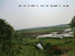 53853singlerice_4.gps.jpg