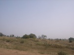 9095RIMG0175.JPG