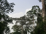 48049CIMG4386.JPG
