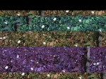 11642077-Irrigated (Surface water) cotton-b.jpg