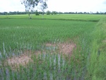 33381RIMG0121.JPG