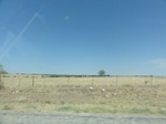 34980DSC01882.JPG