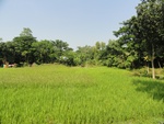 26092DSC01119.JPG