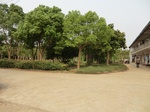 53776CIMG0242.JPG