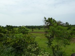 18770P1000608.JPG