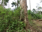 46125CIMG0414.JPG