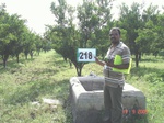 71240218d-irrigated-supplemental-groundwater-tubewell-orange-orchard.jpg
