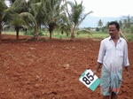6387085c-irrigated-supplemental-minor-maize.jpg