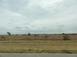 36044DSC02764.JPG
